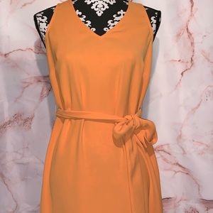 Ann Taylor shift dress with tie